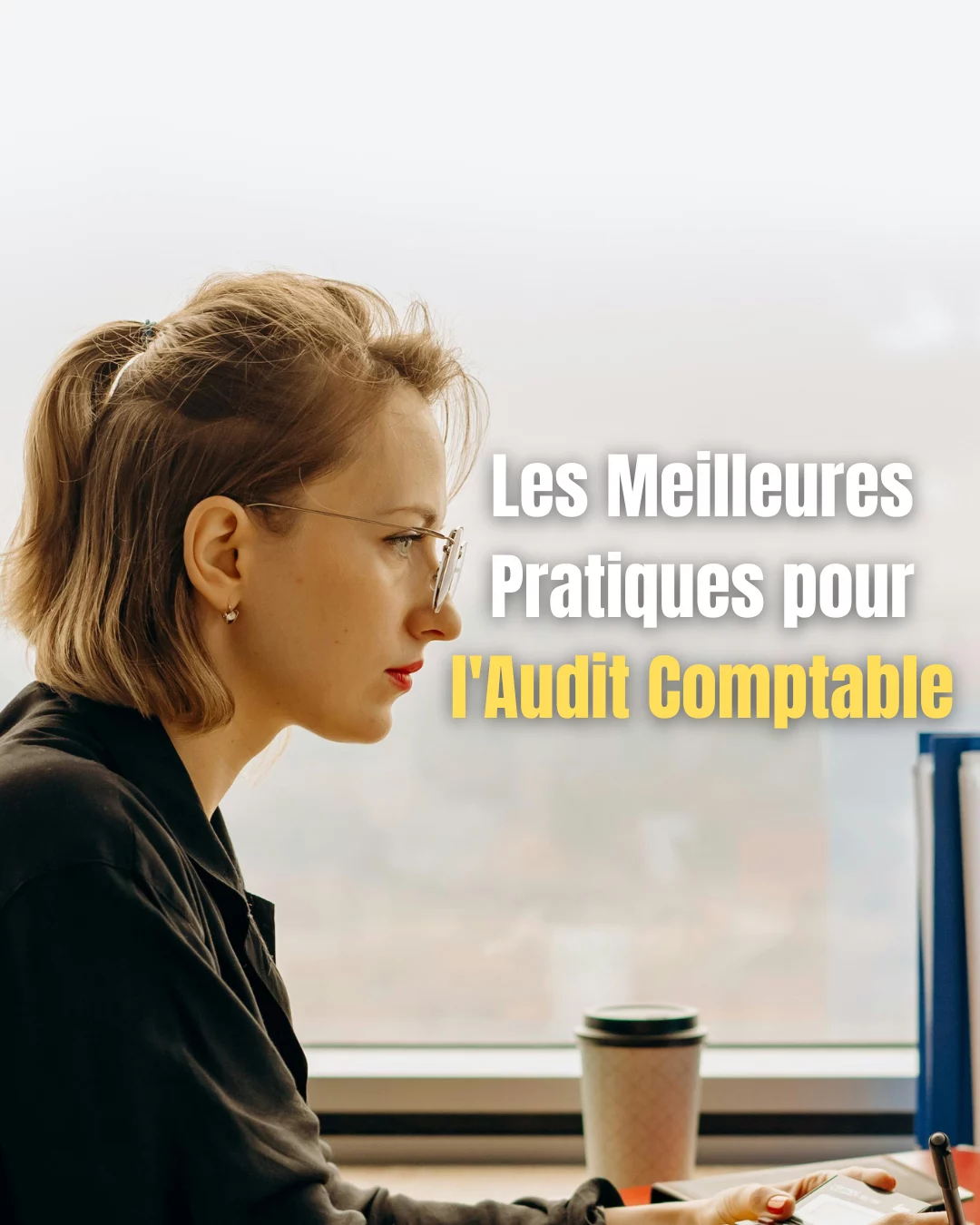 Les Meilleures Pratiques pour l’Audit Comptable